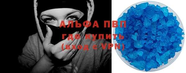 винт Вяземский