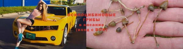 винт Вяземский