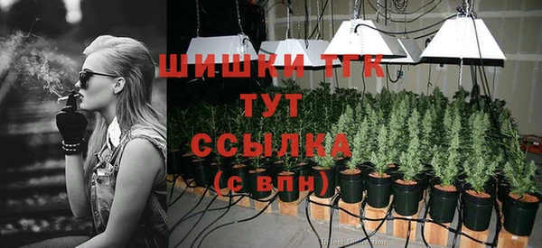 амф Новозыбков