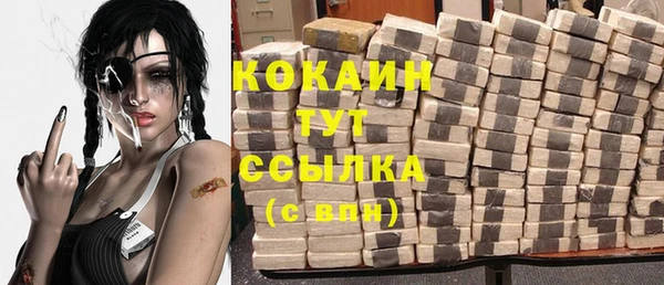 амф Новозыбков