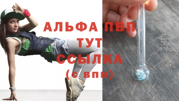 винт Вяземский