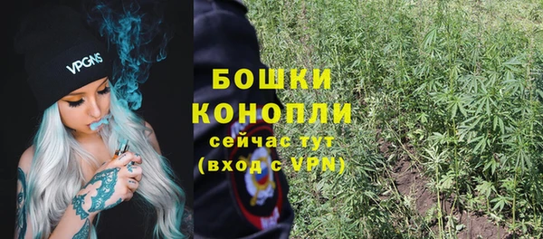 молекула духа Вязники
