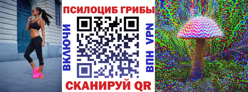 Псилоцибиновые грибы Cubensis  Невьянск 